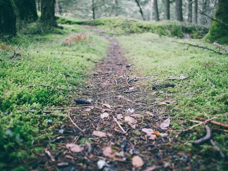 Dyson Airwrap Hair Styler - Thumbnail 2