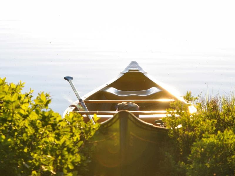 Vitamins Multivitamin Pack