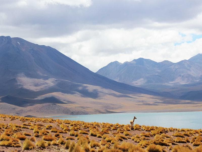 Business Book Rich Dad Poor Dad - Thumbnail 3