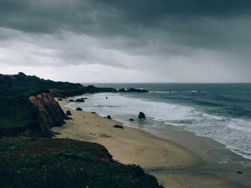 Fashion Magazine Vogue 2024