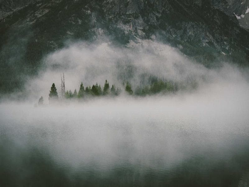 Children's Book Collection - Thumbnail 3