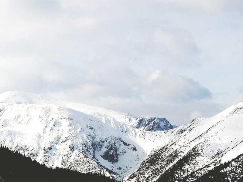 Mystery Novel Bestseller