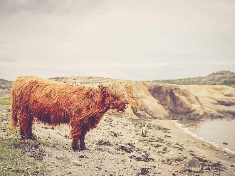 Pallet Rack Storage System