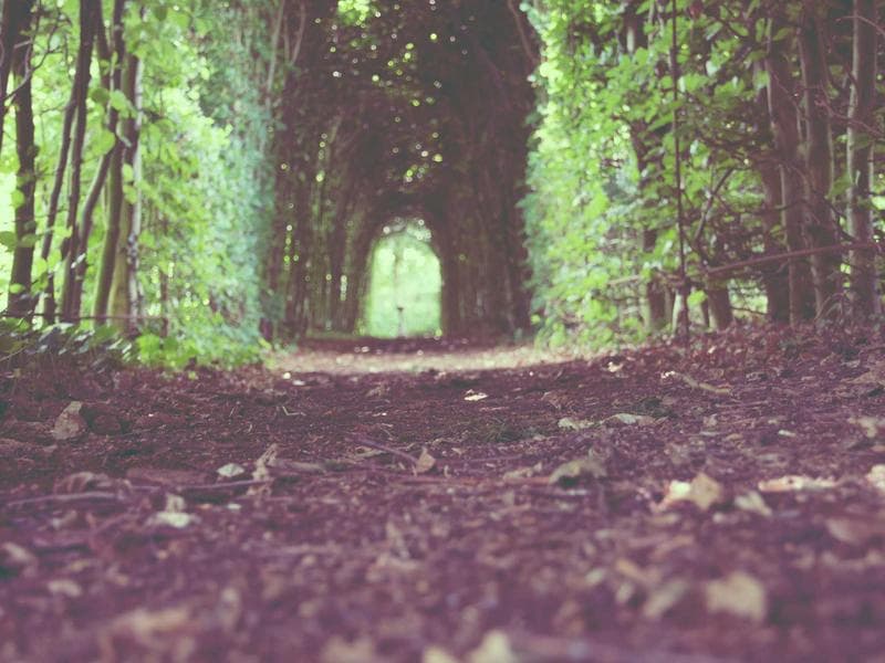 Pallet Rack Storage System - Thumbnail 3