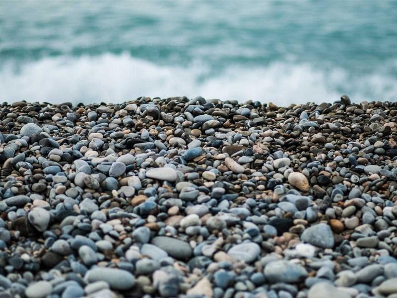 Hand Pallet Jack 2 Ton