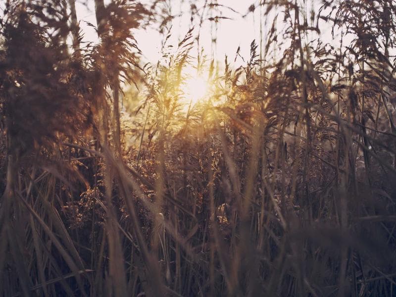 Puma Running Shoes - Thumbnail 2