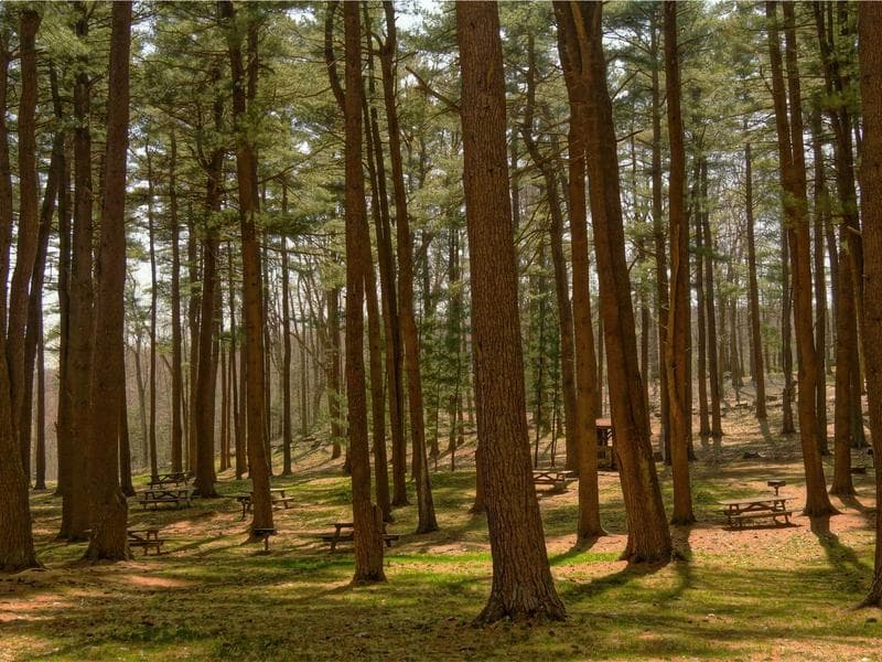 Wool Winter Coat - Thumbnail 2