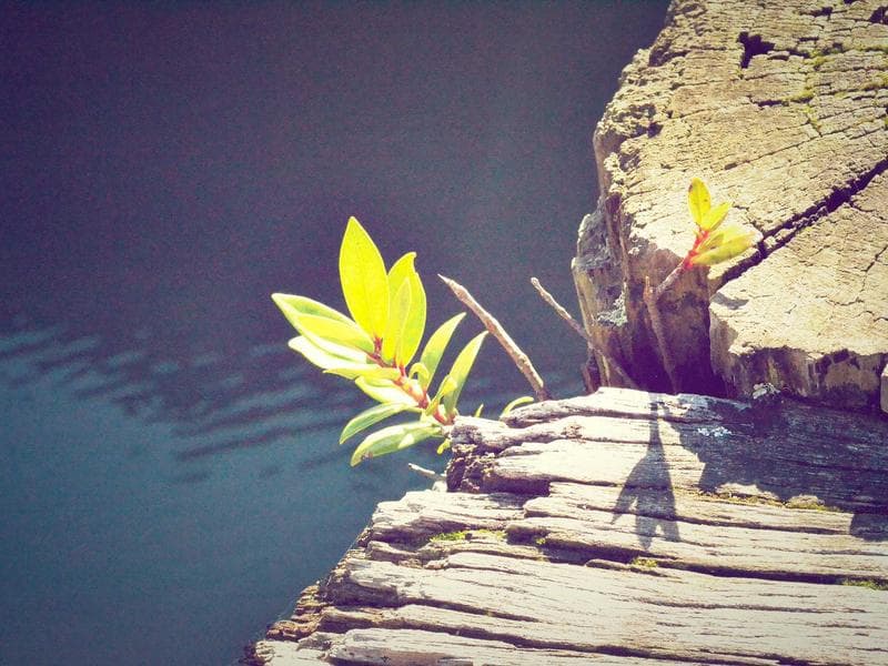 Samsung Galaxy S23 Ultra - Thumbnail 3