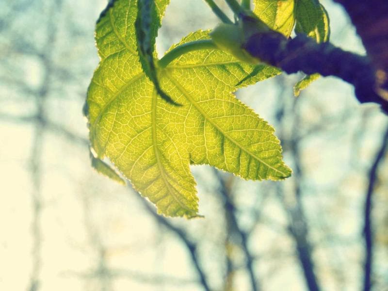 Dell XPS 15 Laptop - Thumbnail 2