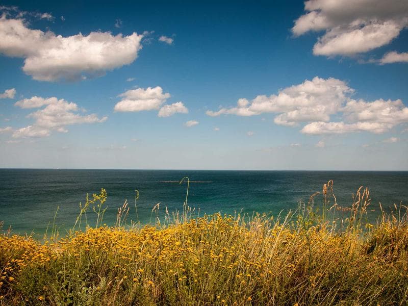 Canon EOS R6 Camera - Thumbnail 2