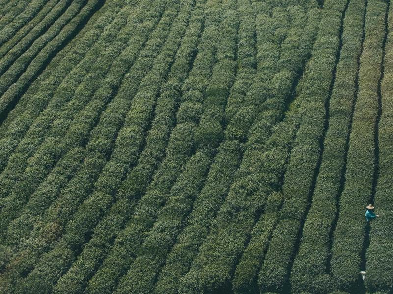 Nintendo Switch OLED - Thumbnail 3