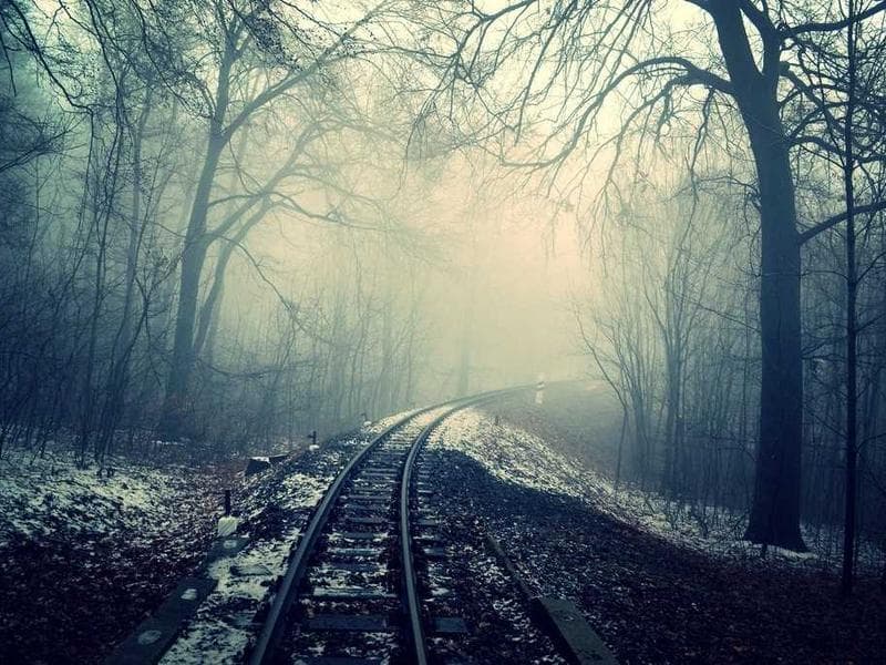 Organic Honey 1kg Local