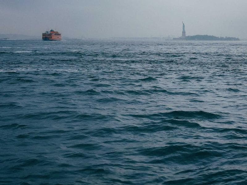 Organic Honey 1kg Local - Thumbnail 3