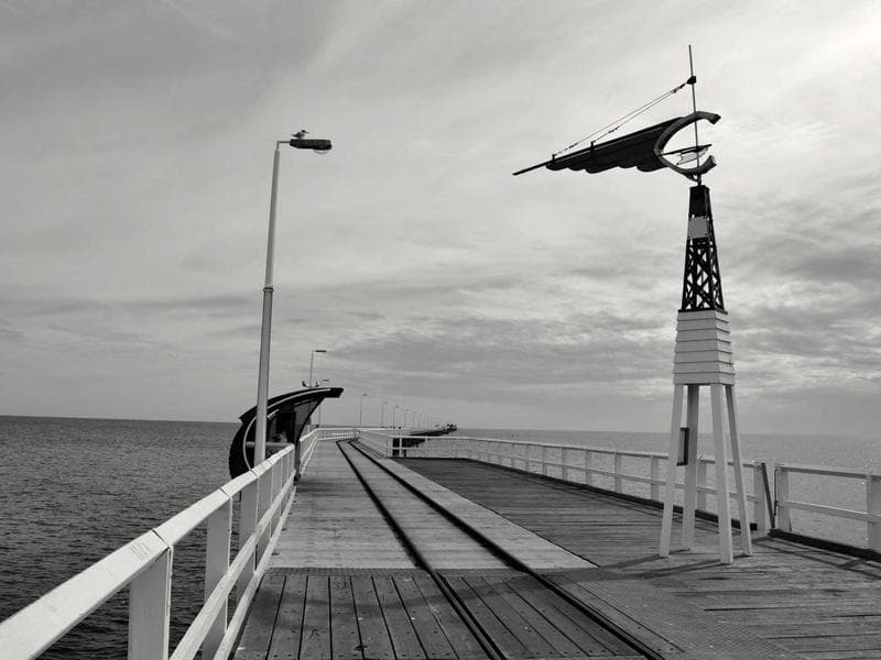 Premium Olive Oil Extra Virgin - Thumbnail 3