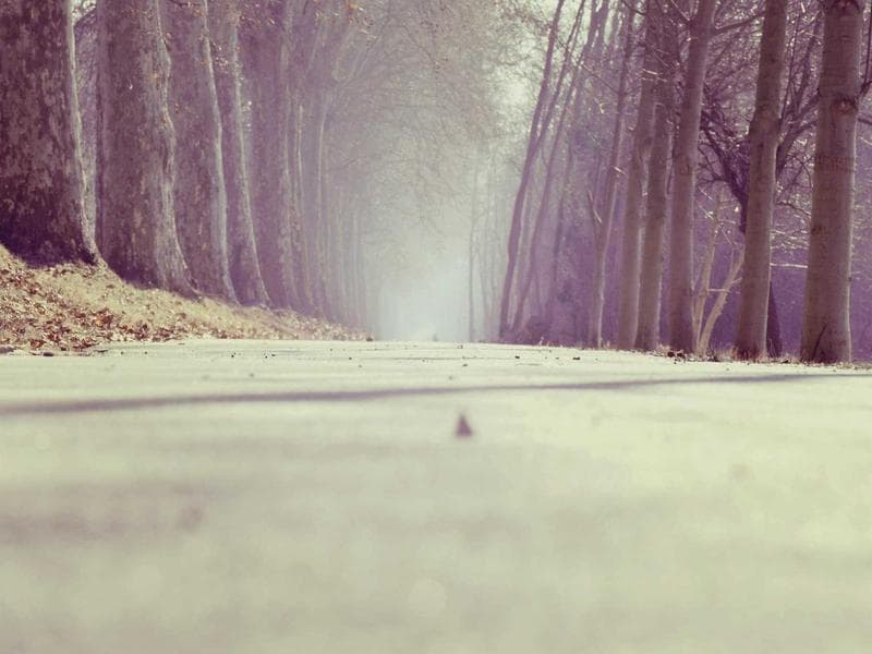 Coffee Beans Arabica 1kg