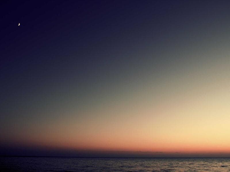 Coffee Beans Arabica 1kg - Thumbnail 3