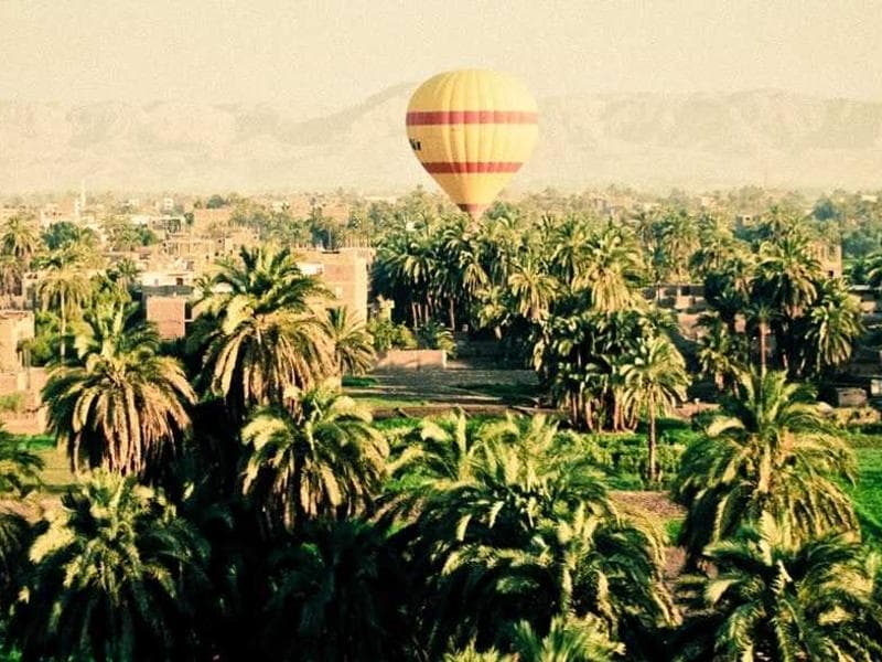 Wine Red Cabernet Sauvignon - Thumbnail 2