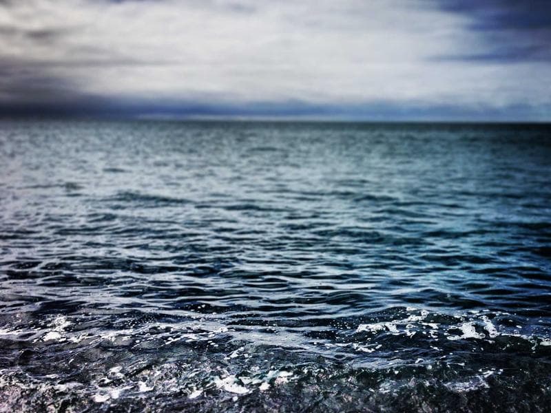 Jam Homemade Variety Pack