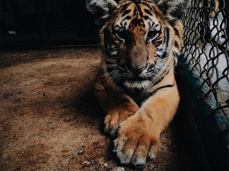 Jam Homemade Variety Pack - Thumbnail 3