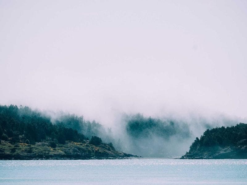 IKEA Malm Bed Frame 160x200