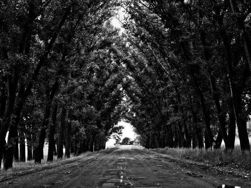 IKEA Malm Bed Frame 160x200 - Thumbnail 2