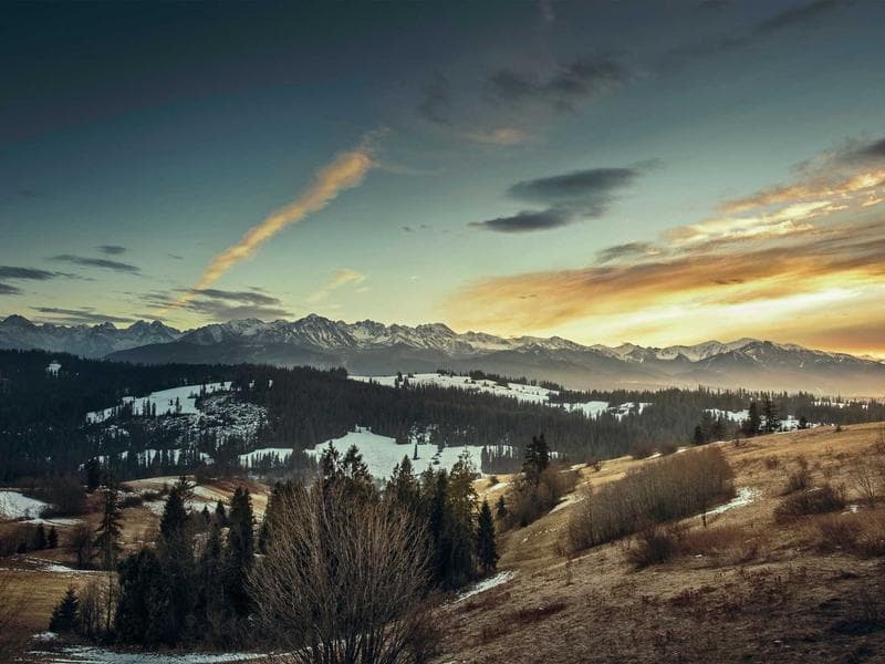 IKEA Malm Bed Frame 160x200 - Thumbnail 3