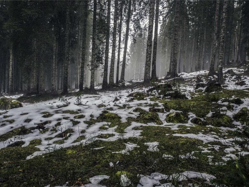 Office Chair Ergonomic Herman Miller - Thumbnail 2