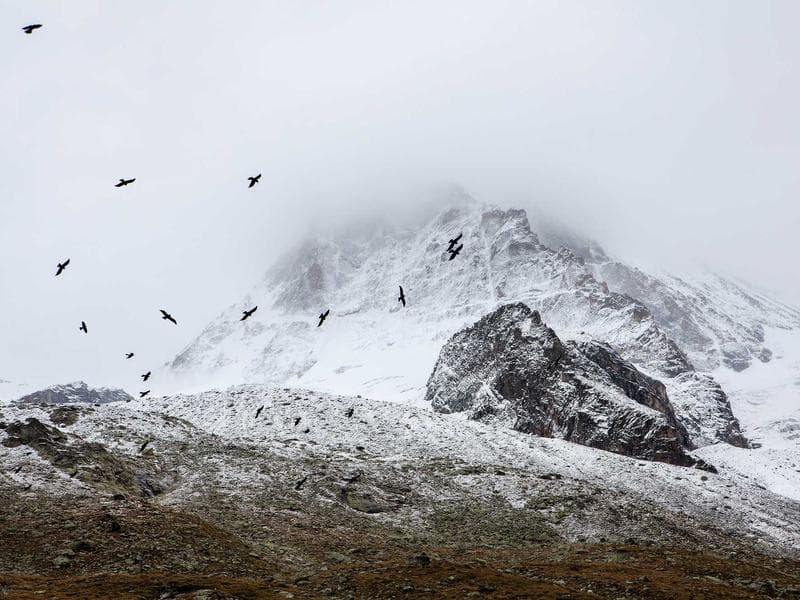 TV Stand 180cm Black - Thumbnail 3