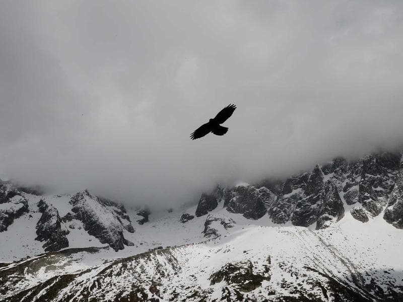 TV Stand 180cm Black - Thumbnail 3