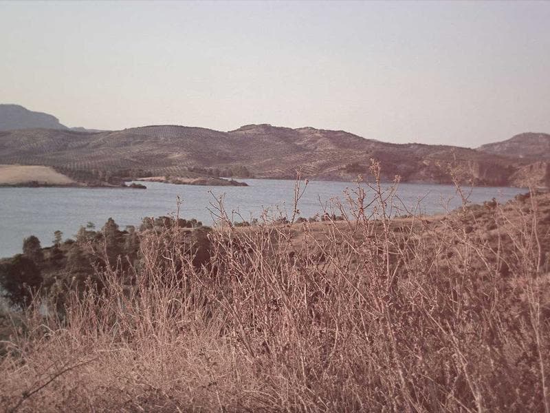 King Size Mattress Memory Foam