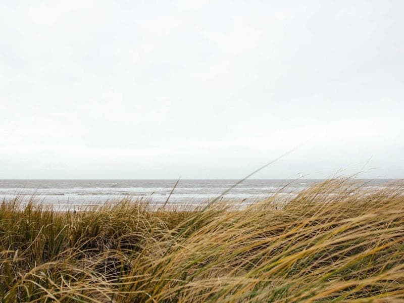 Sideboard Storage Cabinet
