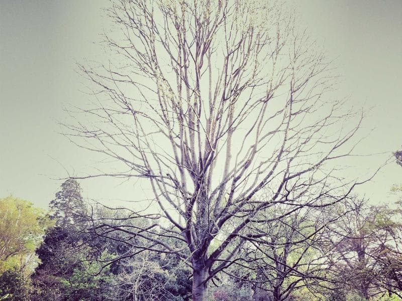 Sideboard Storage Cabinet - Thumbnail 3