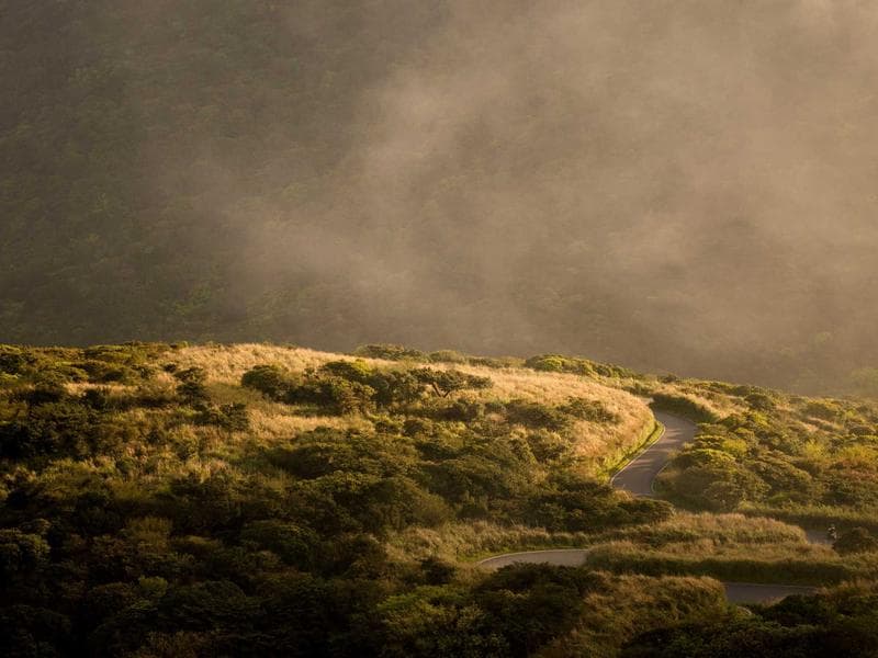 Hedge Trimmer Bosch - Thumbnail 2