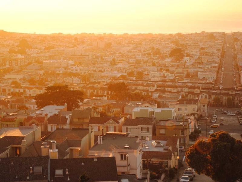 Garden Hose 50m Professional