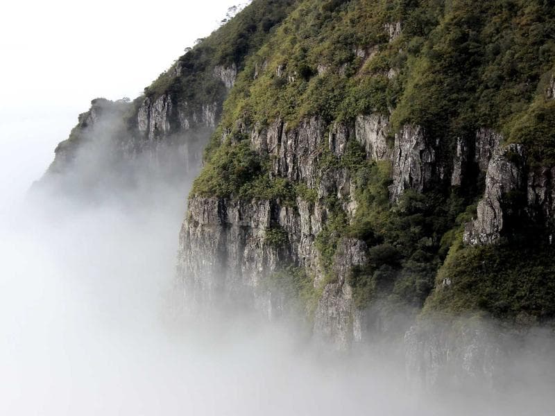 Garden Hose 50m Professional - Thumbnail 3