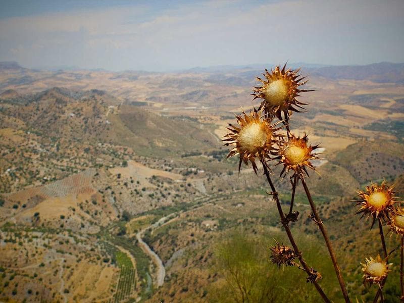 Leaf Blower Battery Powered - Thumbnail 3