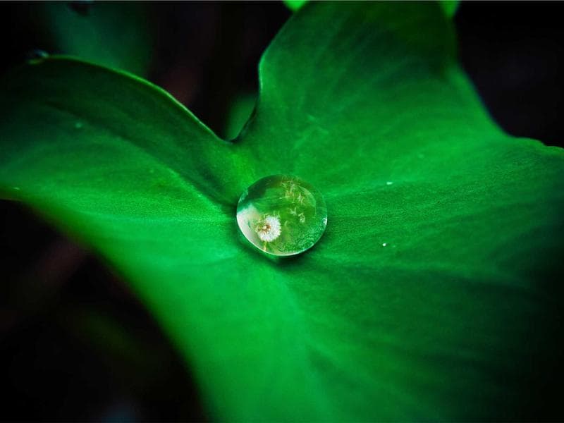 Gift Card Amazon 100€ - Thumbnail 3