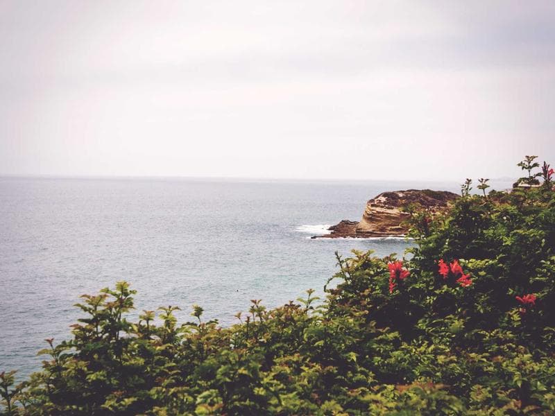 Gift Basket Gourmet Food