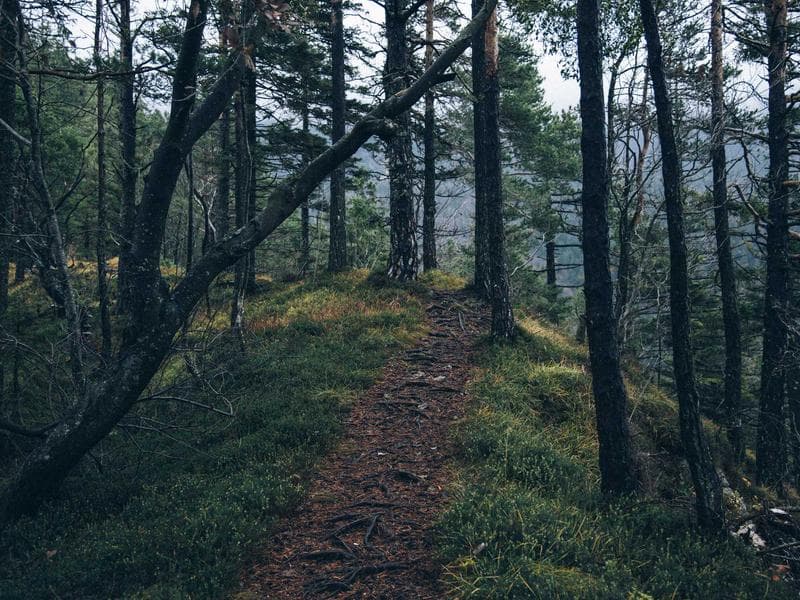 Gift Basket Gourmet Food - Thumbnail 3