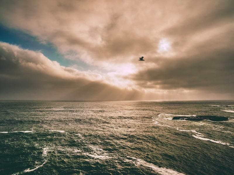 Wireless Charging Station - Thumbnail 2