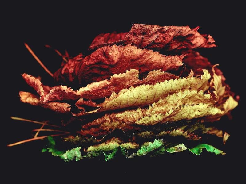 Flower Bouquet Premium Roses