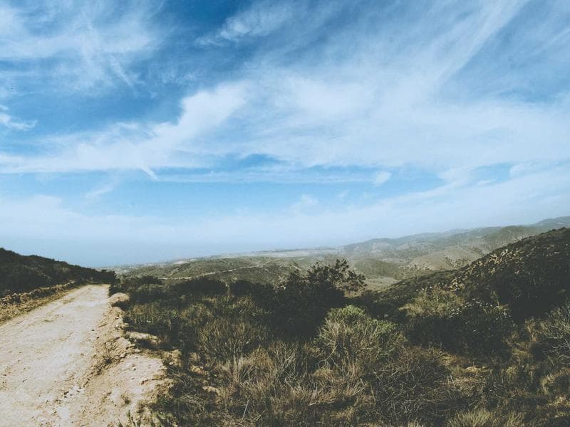 Flower Bouquet Premium Roses - Thumbnail 2