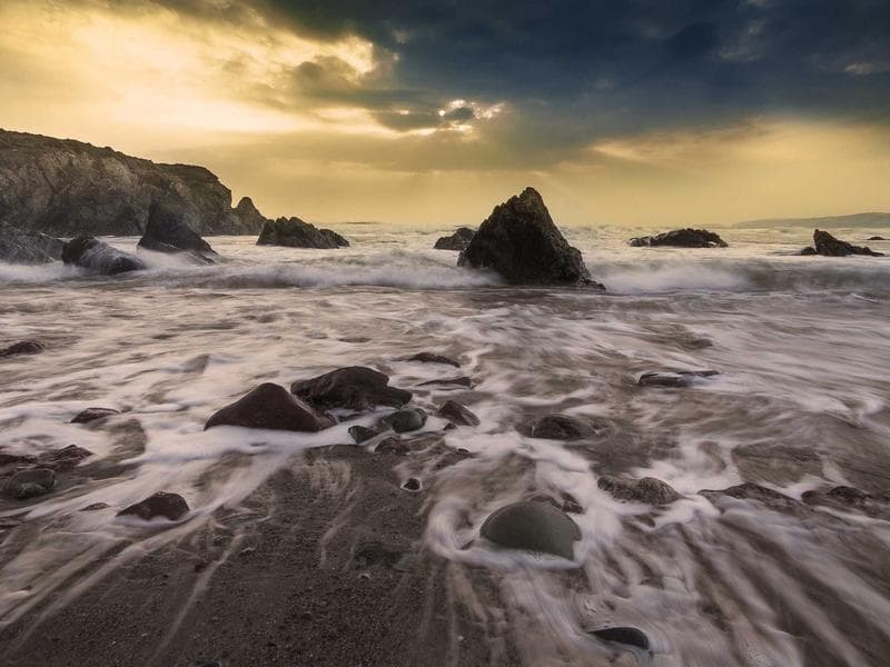 Oil Painting Set Professional - Thumbnail 3