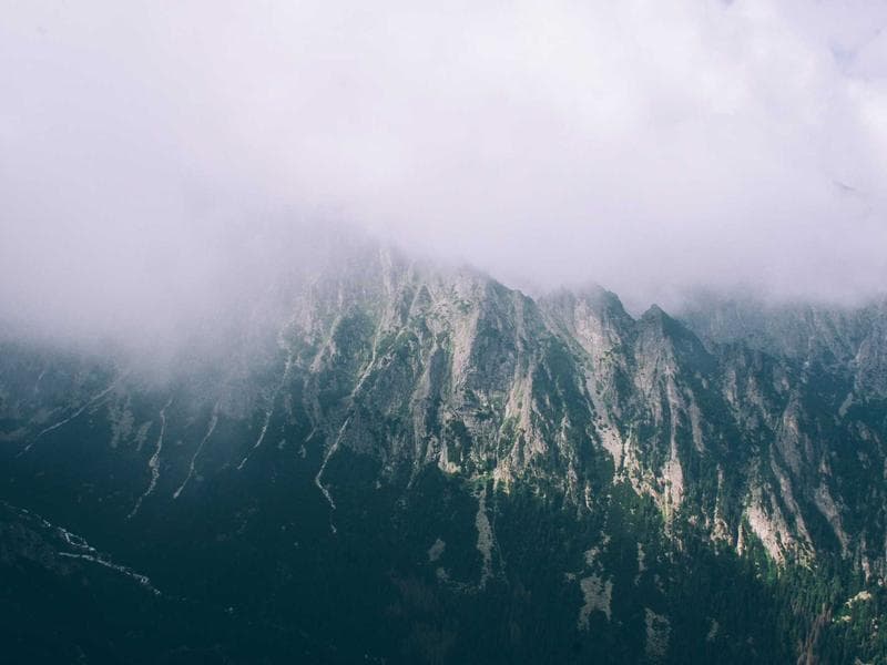 Oil Painting Set Professional - Thumbnail 3