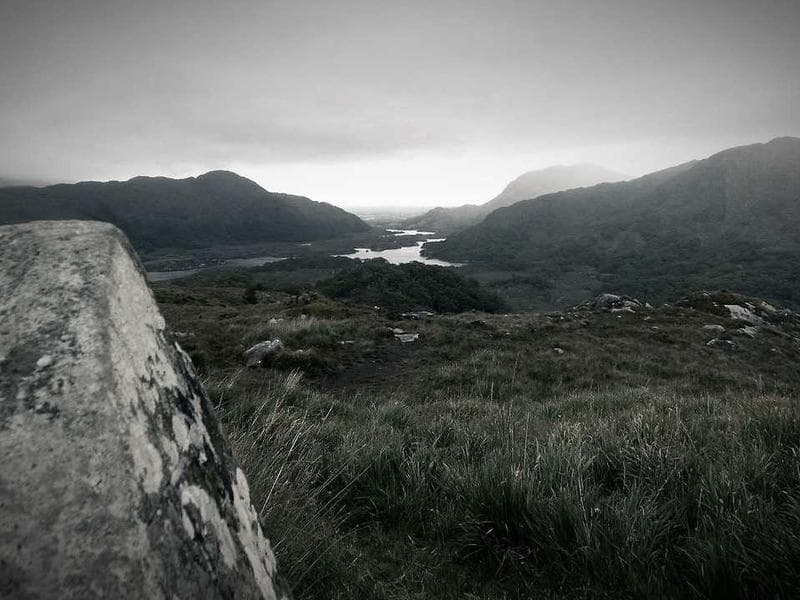 Stamp Collection Vintage