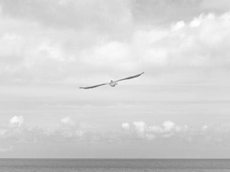 Telescope Astronomy 150mm