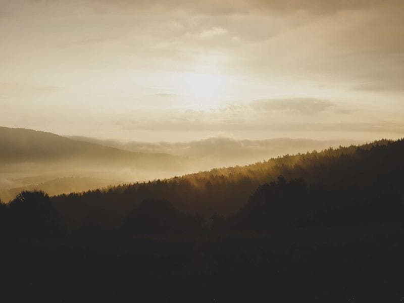 Fishing Rod Carbon Fiber - Thumbnail 2