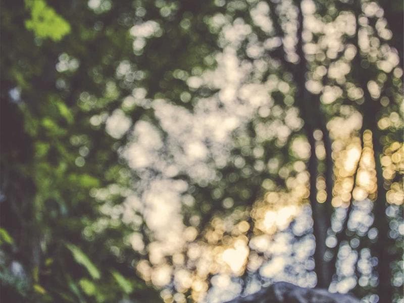 Philips Hue Smart Light Set - Thumbnail 2