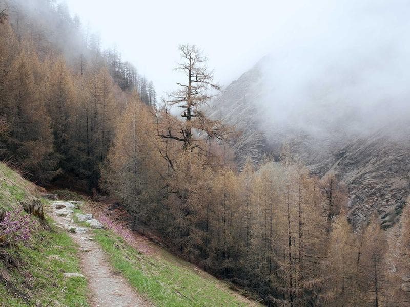 KitchenAid Stand Mixer - Thumbnail 3