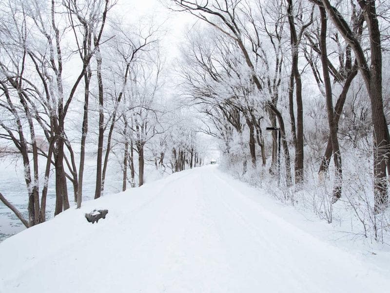 LED Floor Lamp Modern - Thumbnail 3